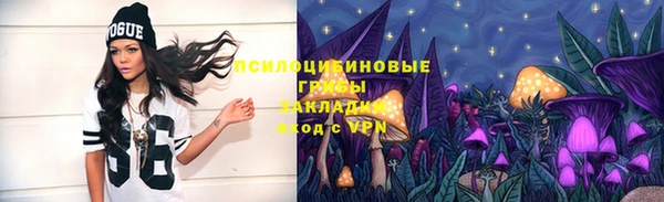 Альфа ПВП Баксан